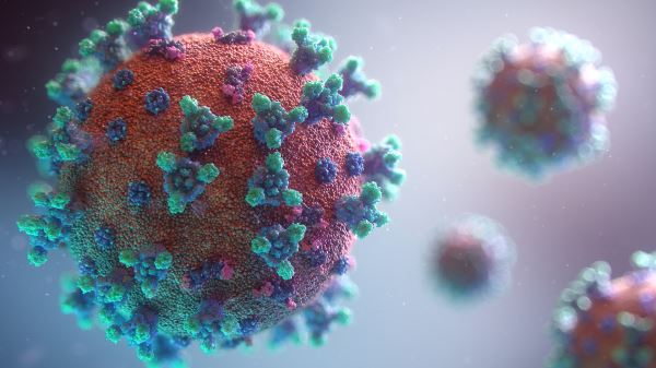 Штаммы коронавируса 2022: новые виды, симптомы