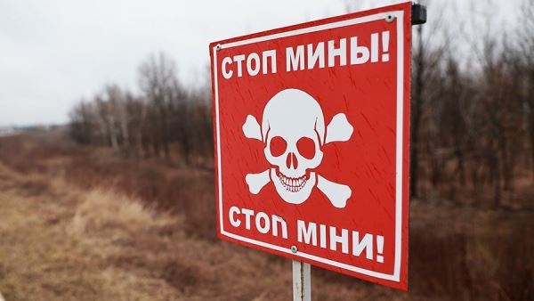 В ДНР из-за подрыва мины пострадал житель поселка Луганское<br />
